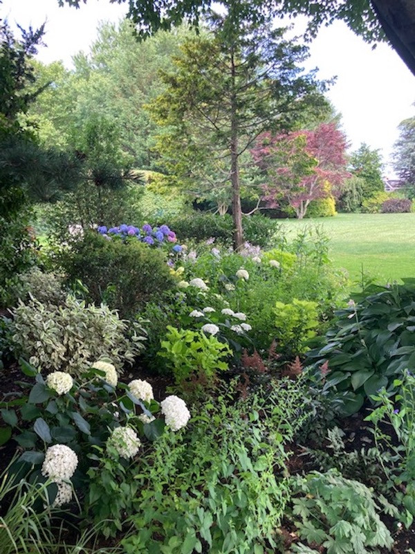 Sagaponack, Backyard pool side garden