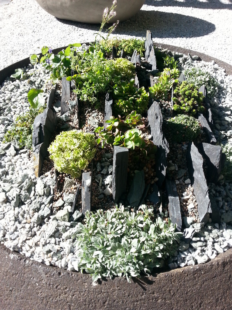 Альпинарии