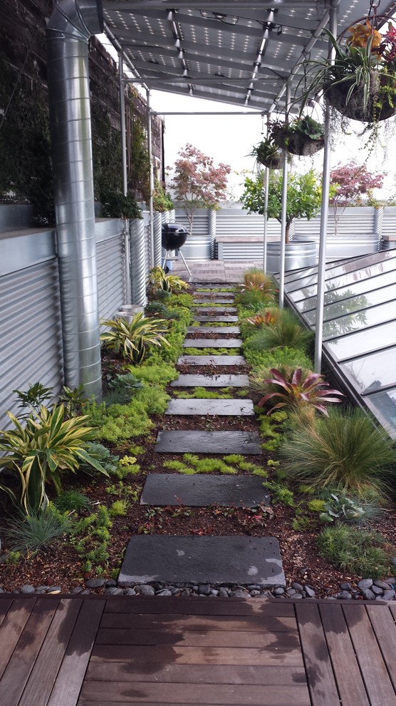 Design ideas for a small modern rooftop partial sun garden in San Francisco with a container garden and decking.