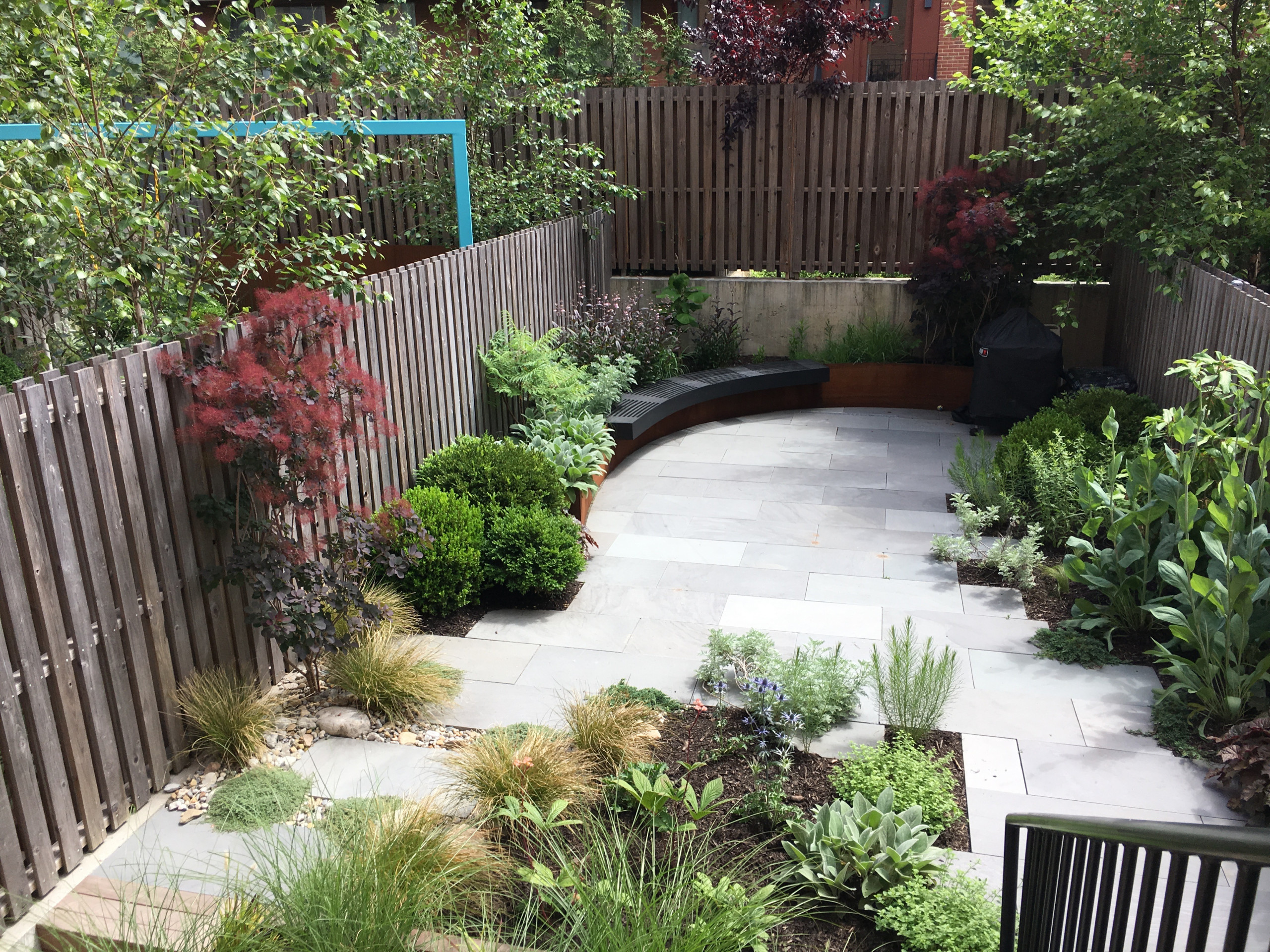 Modern Garden with Curved Corten Border