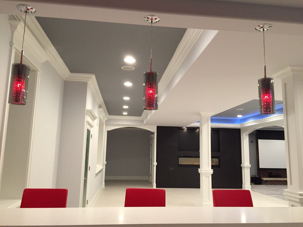 Transitional basement photo in Chicago
