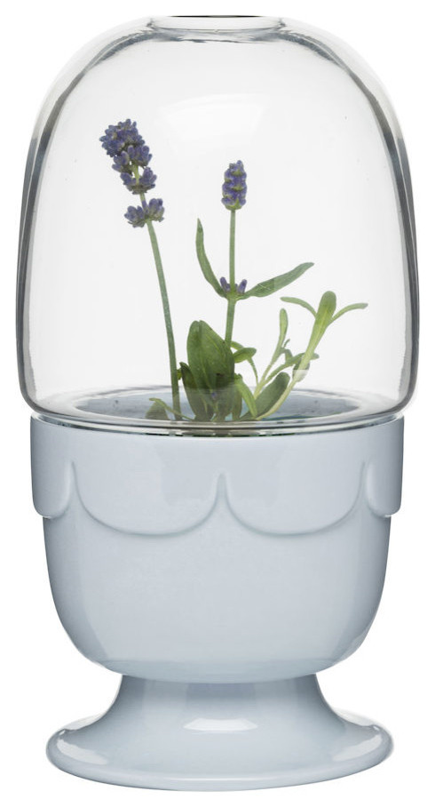 Planter On Stand With Glass Dome, Blue