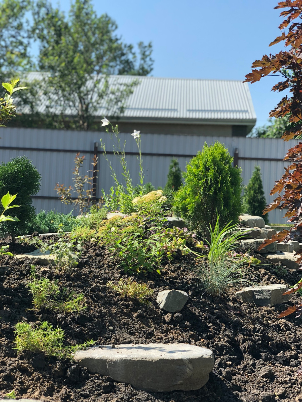 Привет, станица!