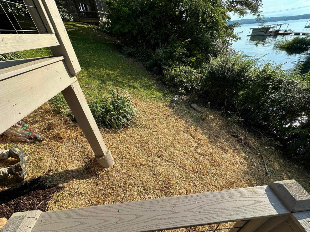 K Bushey Deck