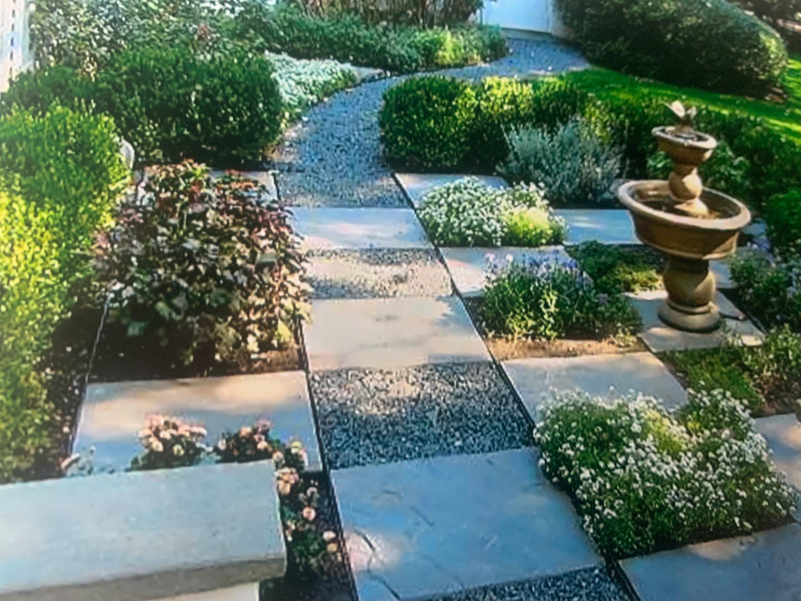 Planting Pockets within a patio setting by Peter Atkins and Associates