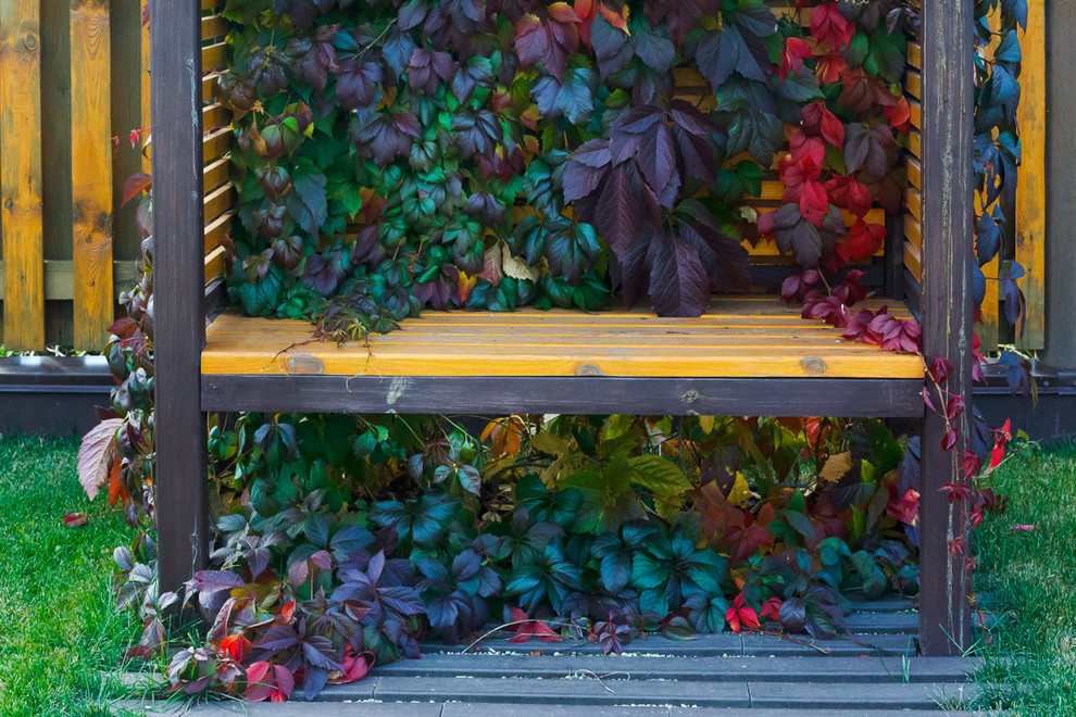 Минимализм в саду