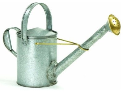 Achla Designs Galvanized Long Neck Watering Can