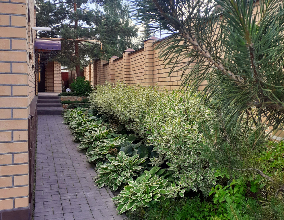 Сиреневый дождь