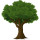 Washington Tree Services