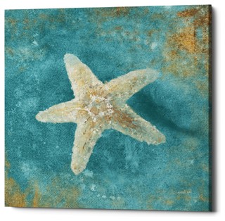 "Treasures From The Sea IV" Giclee Canvas Wall Art, 26"x26"