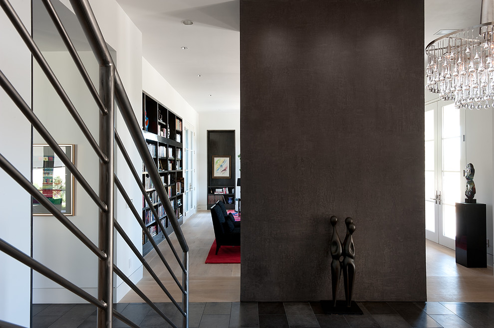 This is an example of a contemporary entryway in Dallas.