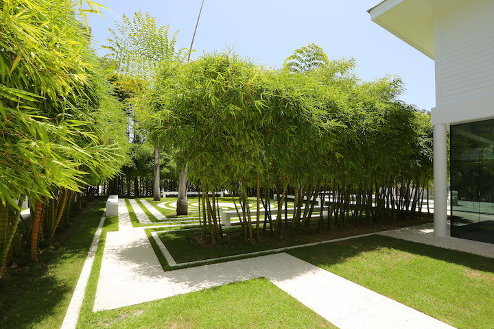 Aquadisia - Modern - Landscape - Tampa - by DWY Landscape ...