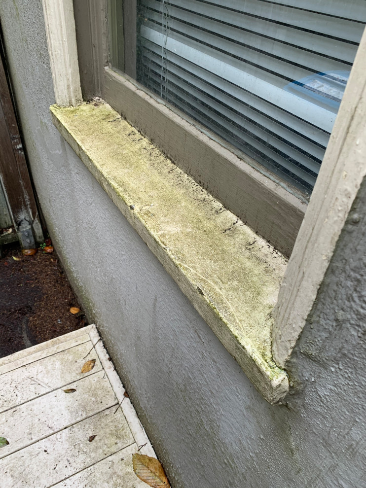Exterior Painting & Trim/Siding Repair