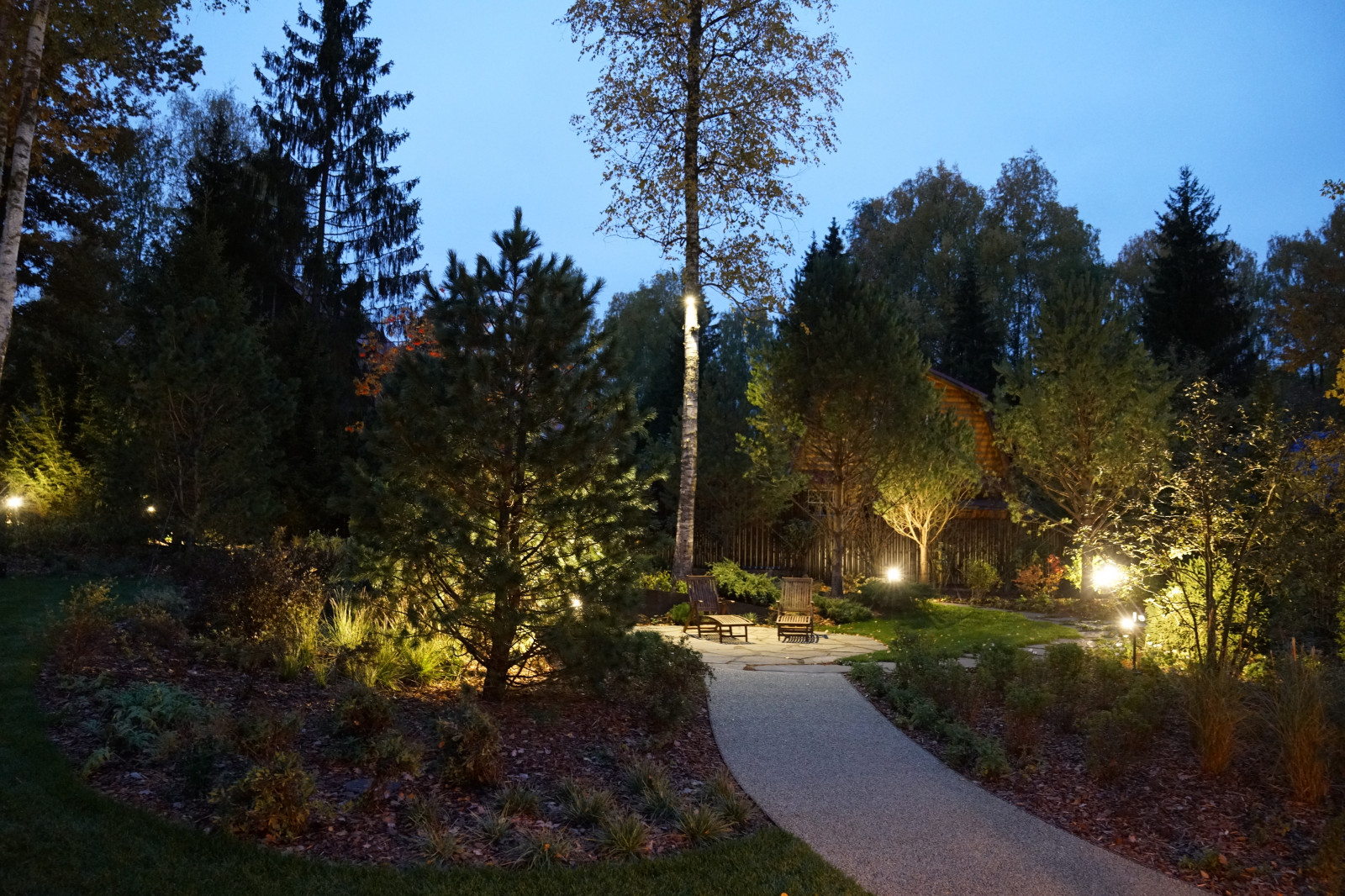 Круговорот  цвета. Дубровка 2021