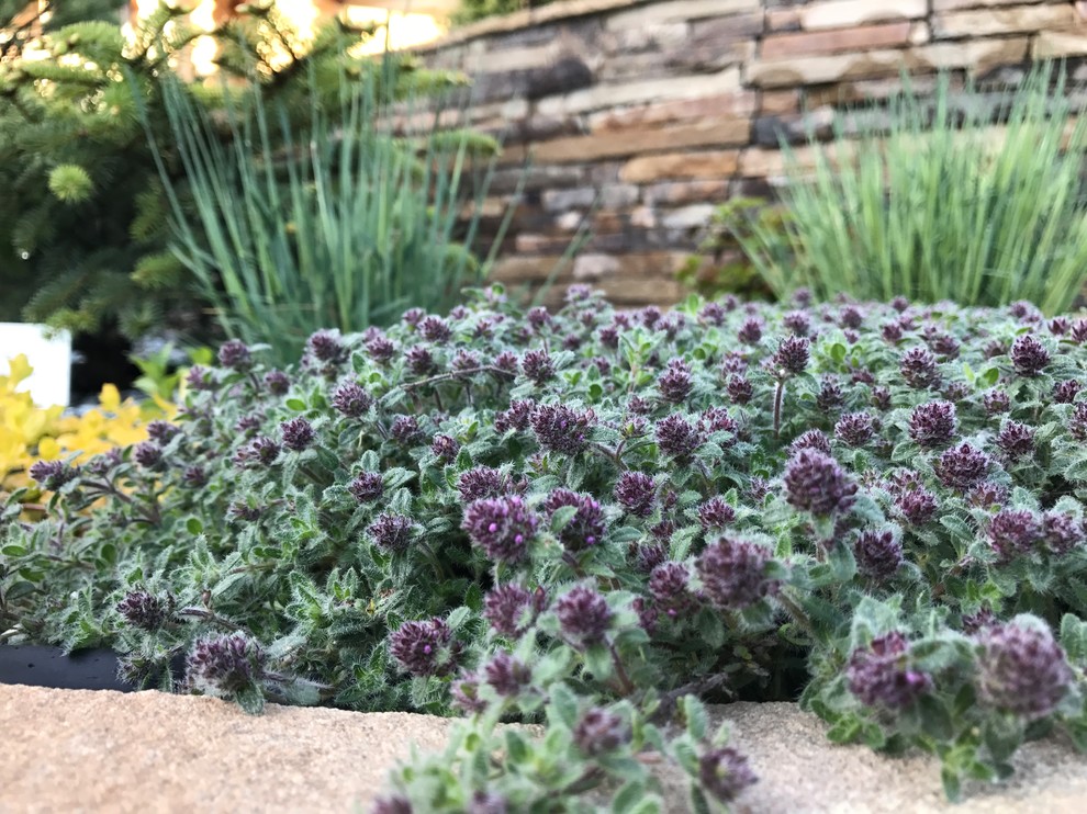 Легкий фьюжн 0.25 га