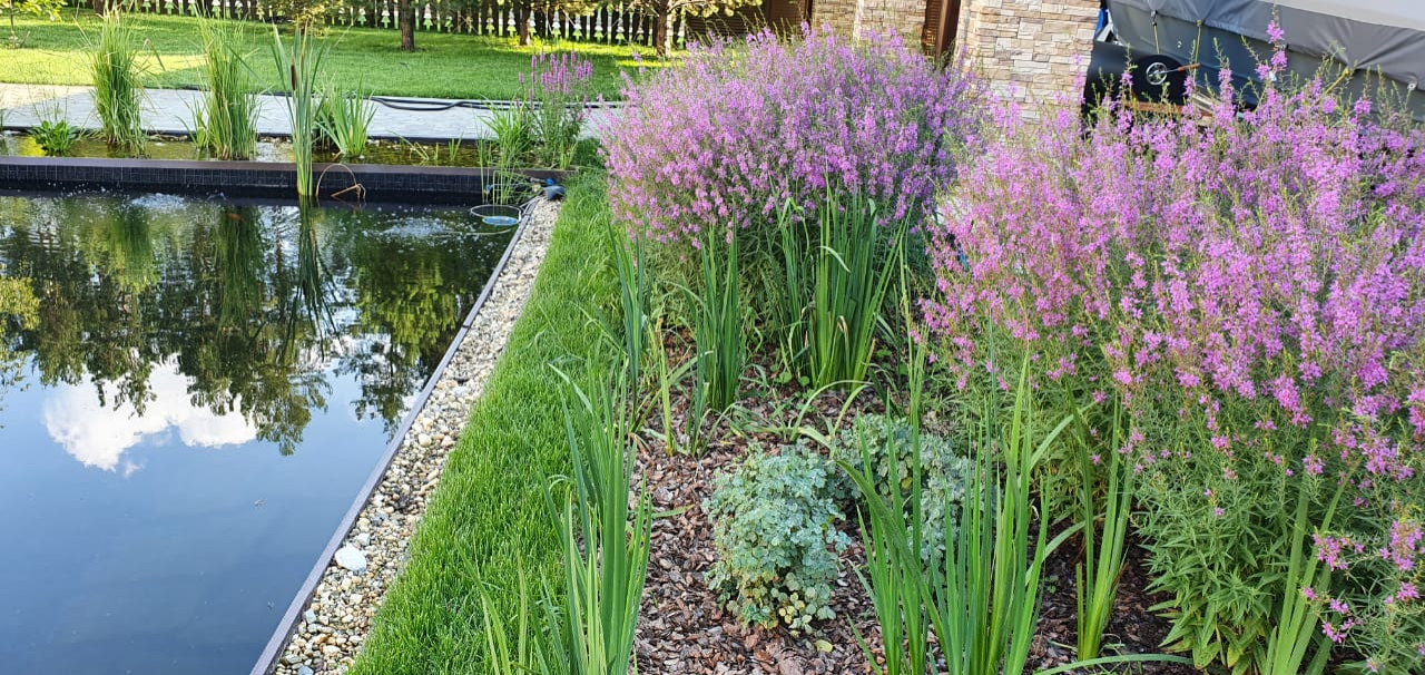 Водоемы и бассейны в саду