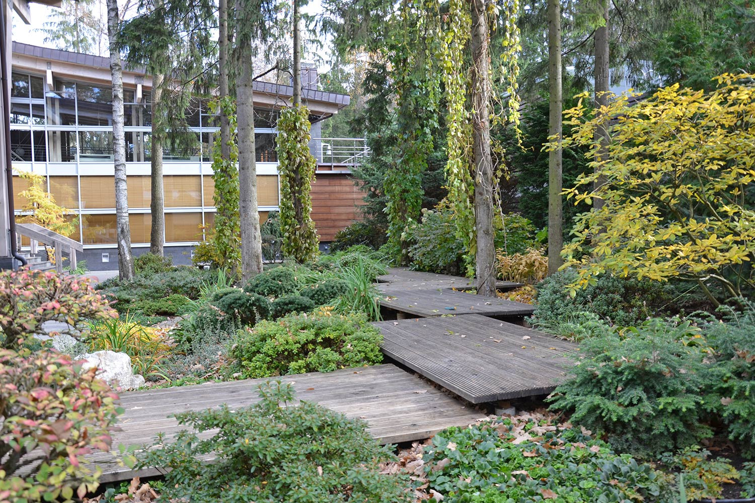 Сад с японским характером в КП Ландшафт