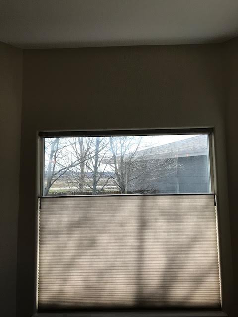Blinds & Shades