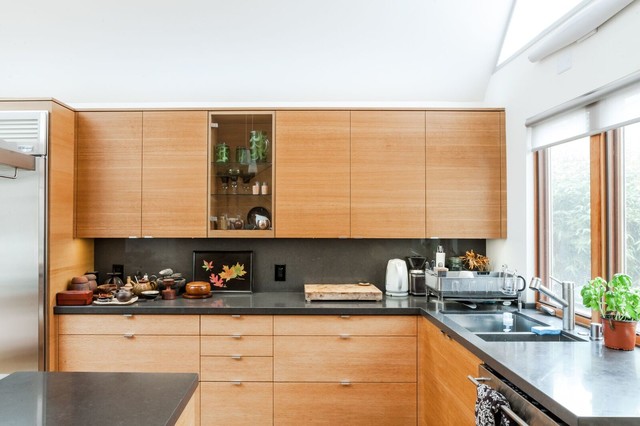 Griffith Residence trendy-koekken