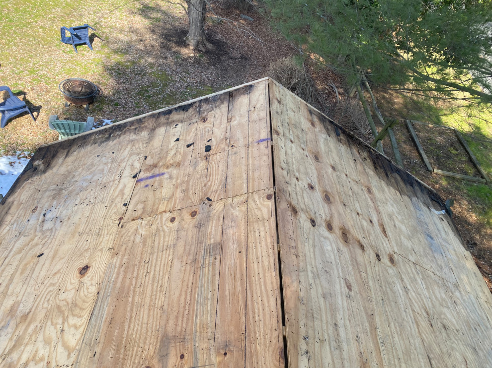 Shed Roof Repair