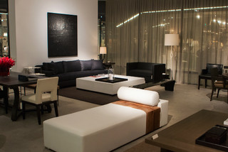 Contemporary Living Room 
