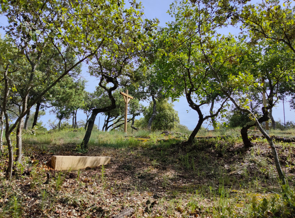 Jardin naturel sous les chênes