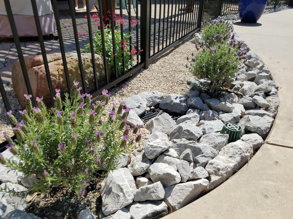 Southwestern rock garden