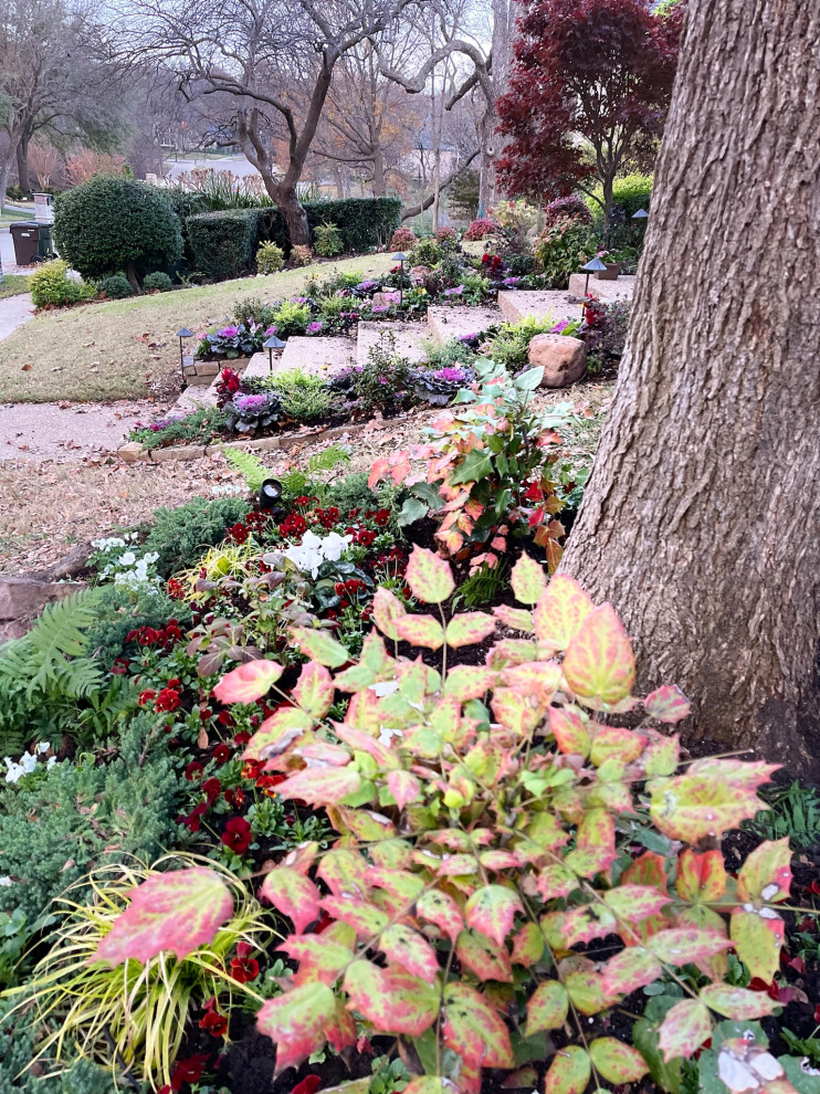 Oak Lawn Residential Landscape