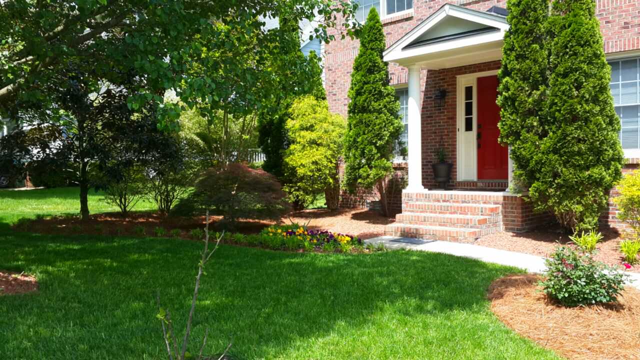 Новые работы