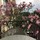 patrice_maurer47