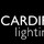 Cardiff Lighting - Bespoke Lighting Installations