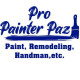Pro Painter Paz