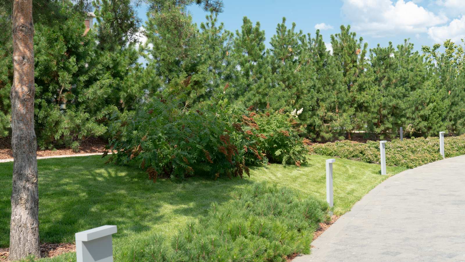 Природный сад. Жуковка XXI век. 2017-2018 гг.