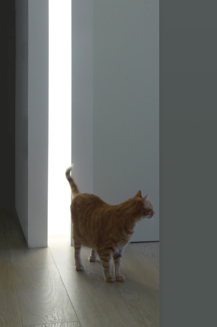 ANNI '60_ANNI 2000 contemporain