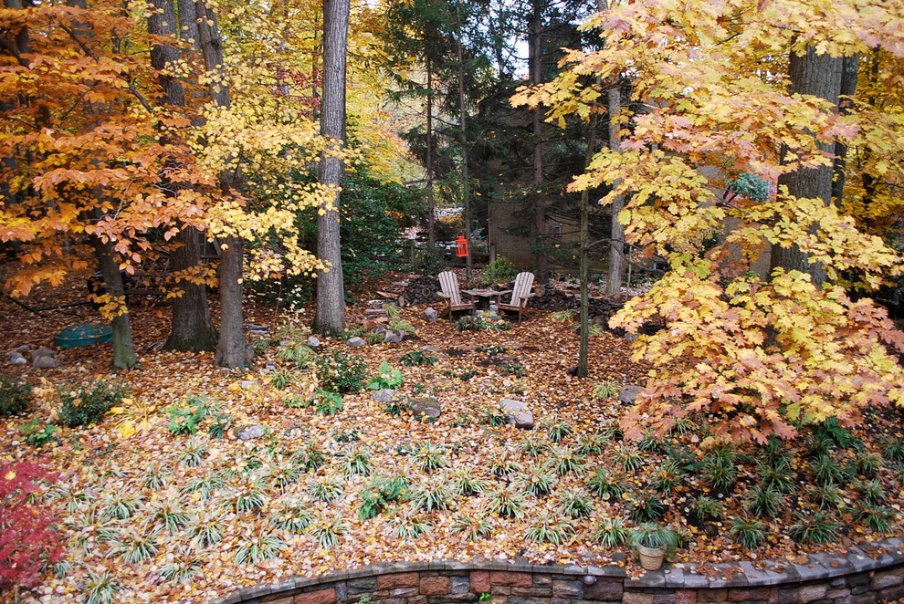 Into the Woods,  Potomac