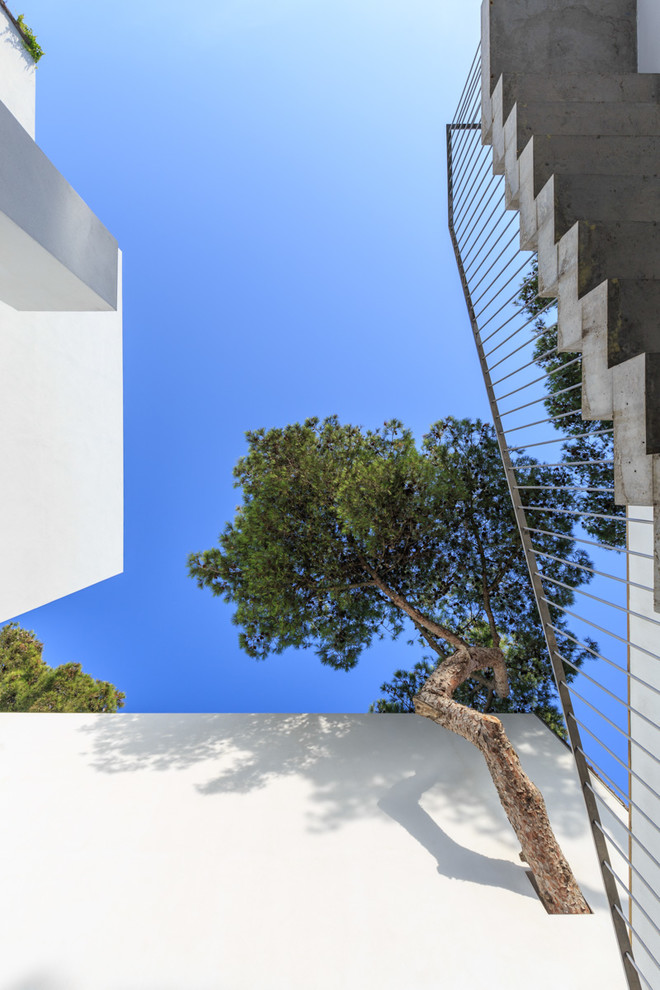 Foto de patio contemporáneo de tamaño medio sin cubierta en patio con jardín vertical y losas de hormigón
