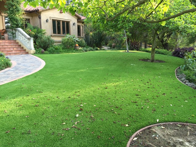 Lawn Aeration