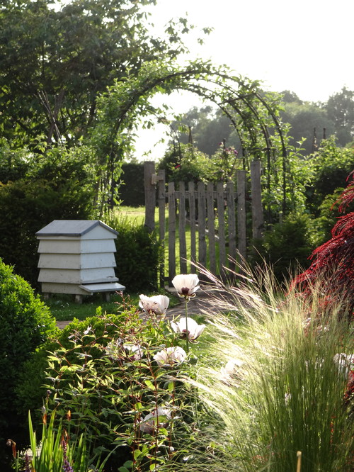 Here's a great example of a smaller beekeeping operation. With a single beehive house placed next to shrubbery at the edge of a garden, it's a sweet location for bees to conjure up honey.