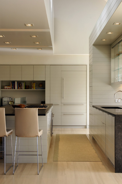 Contemporary Kitchen contemporary-kitchen