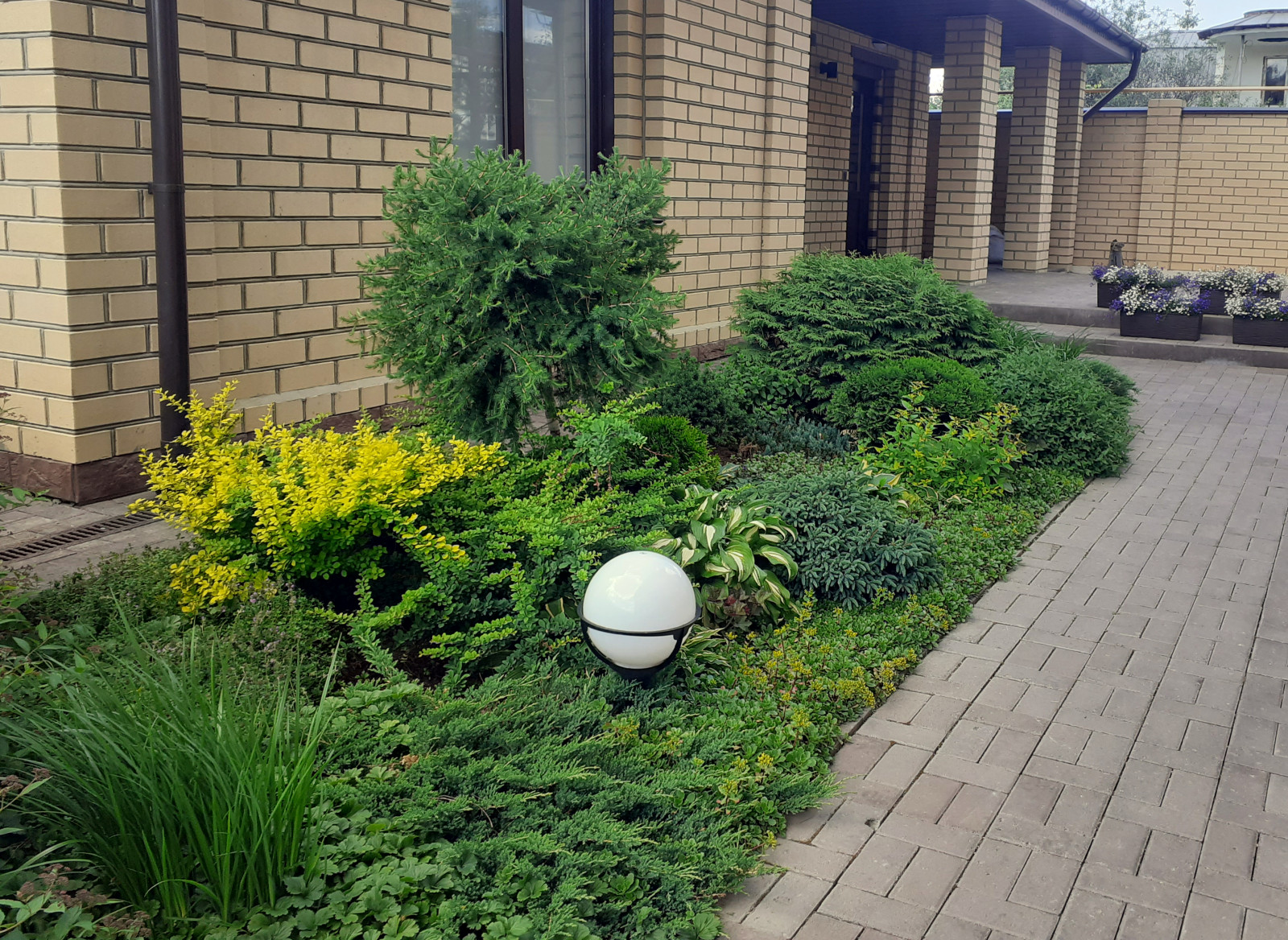 Сиреневый дождь