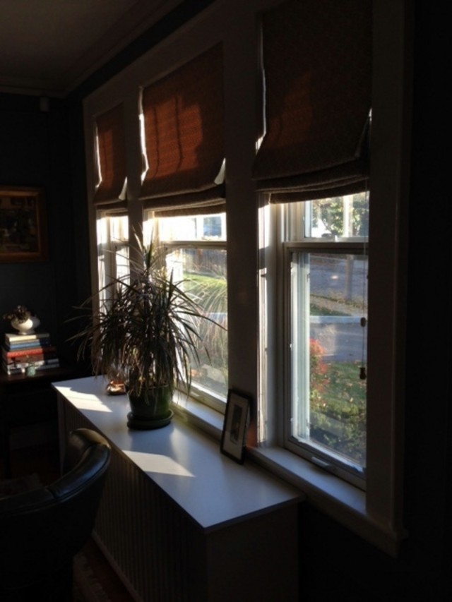 My dining/library window treatments