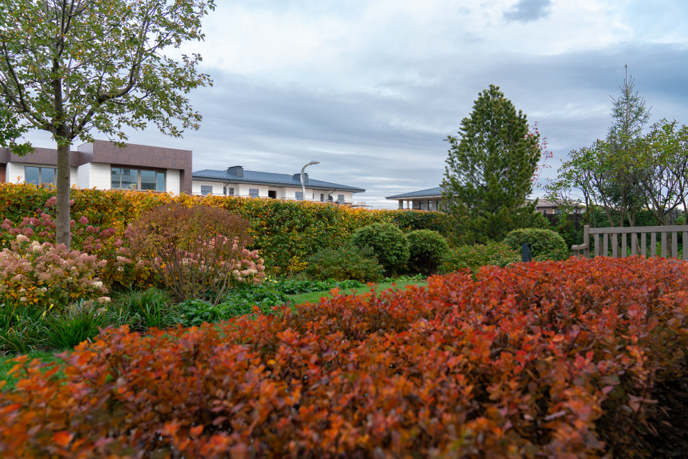 Игра контрастов. Миллениум Парк 2018 г.