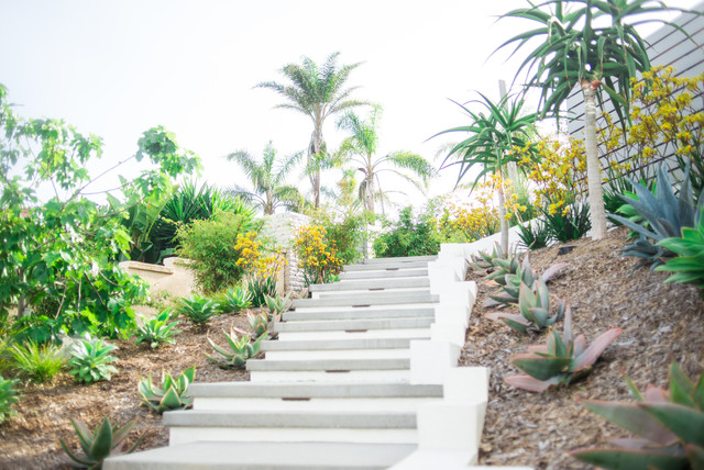 Valdes contemporary-garden