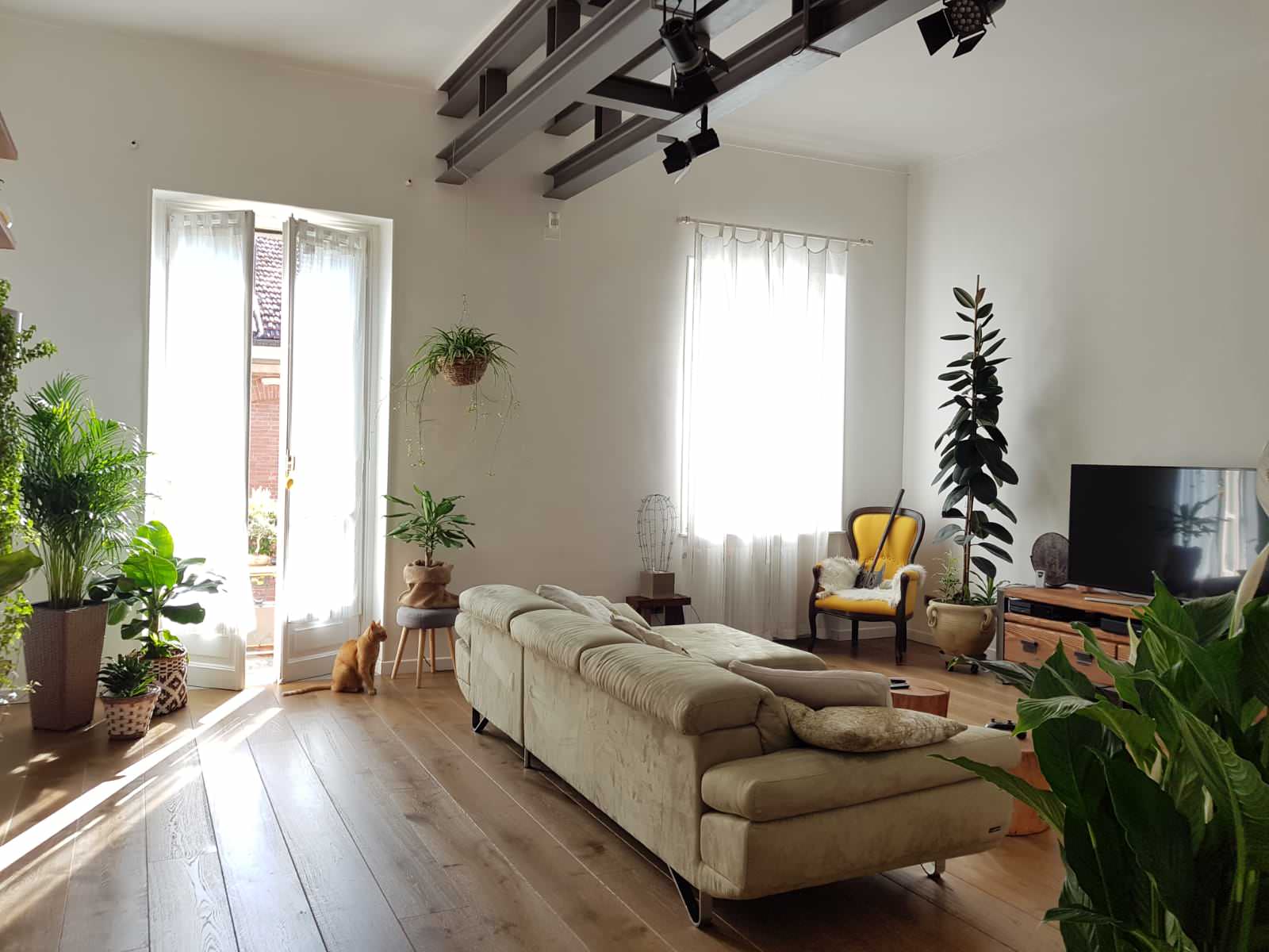 Vista del salone con scorcio della travatura preesistente