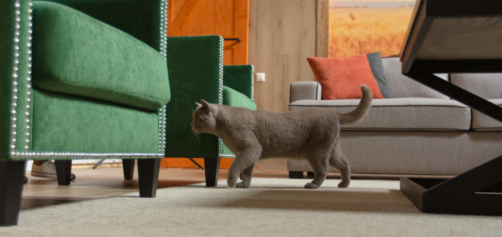 Интерьер, квартира №5