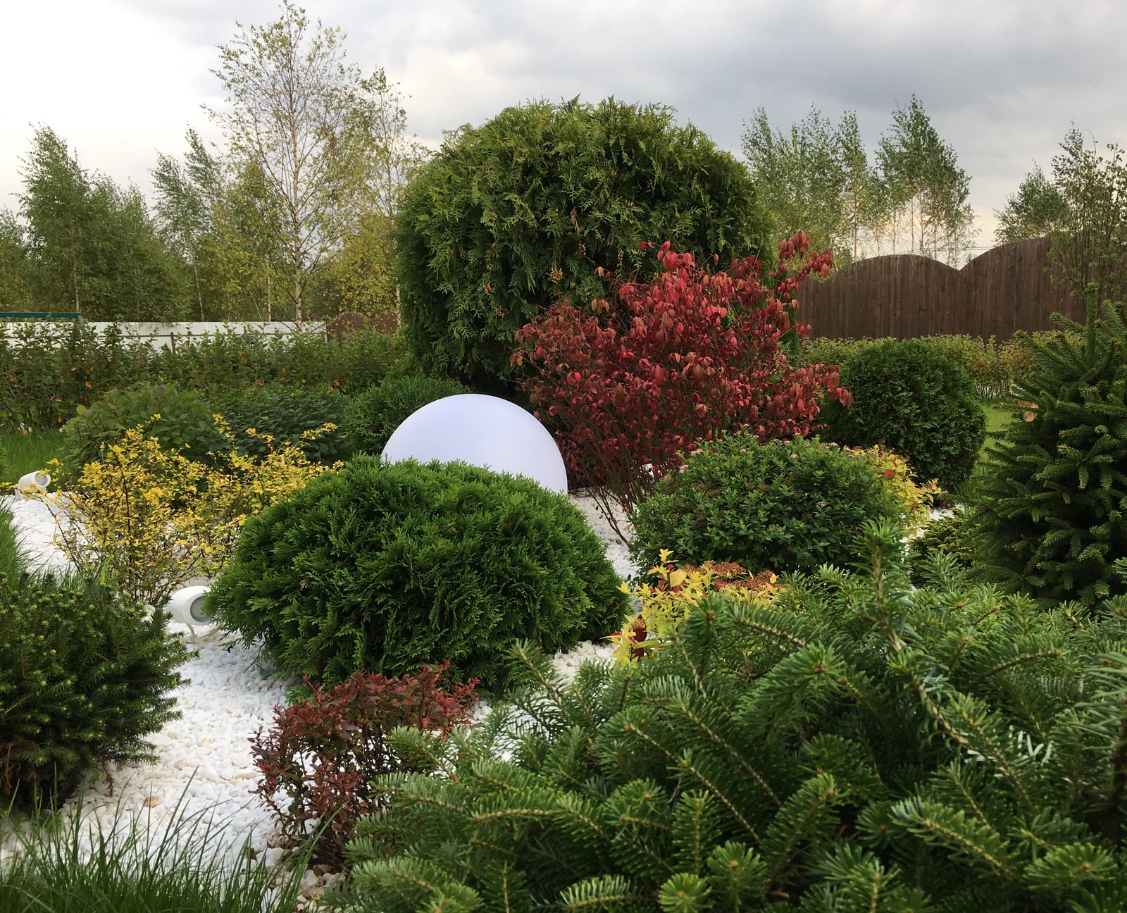 Сад "в процессе..."