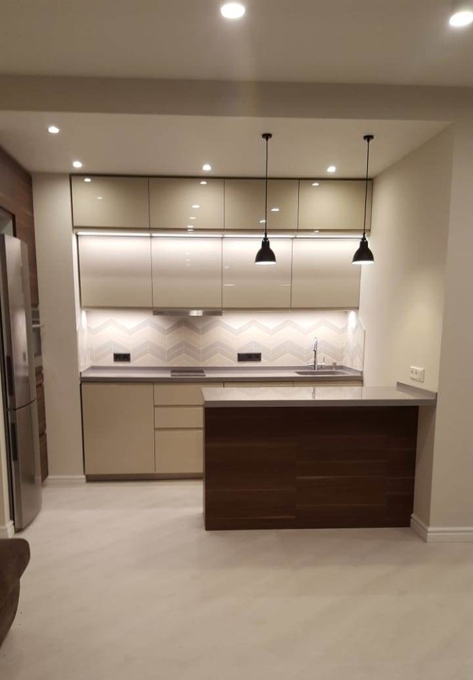 This is an example of a contemporary kitchen.