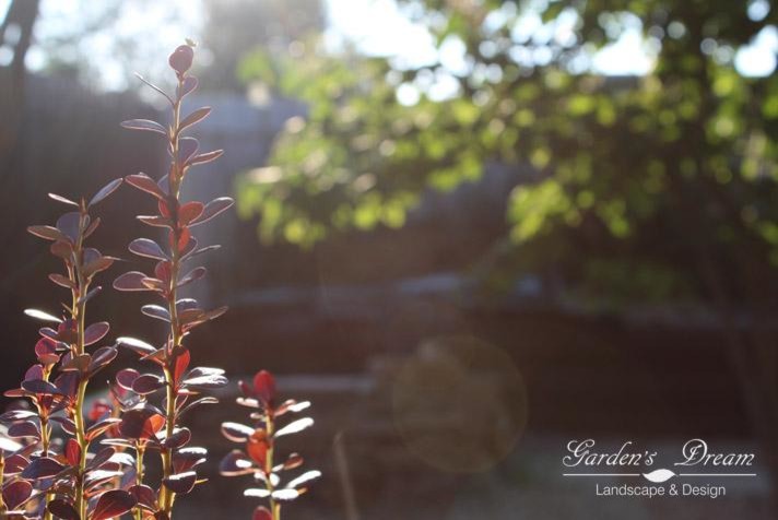 Ландшафтный дизайн и благоустройство терри