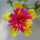 Last commented by tweet_watergirl