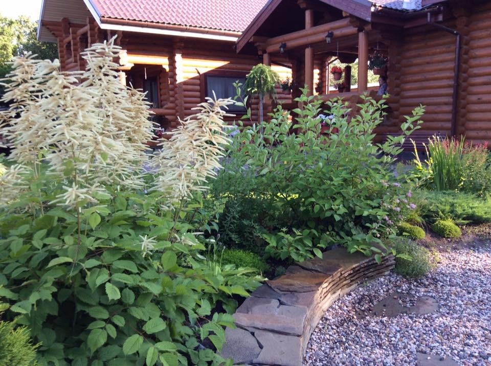 САДИК НА ЛАДОШКЕ 2016